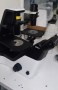 Nikon_side_view8