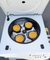eppendorf_2