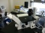 Zeiss Axiovert 25 CFL Inverted Fluorescent Microscope